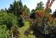 Additional image 20 of Pilgrims Way, Kemsing, Sevenoaks, TN15