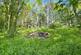 Additional image 18 of Dingle Lane, Tarporley CW6
