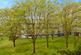 Additional image 15 of Barnabas Road, London, E9