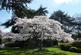 Additional image 31 of Regents Drive, Repton Park, IG8
