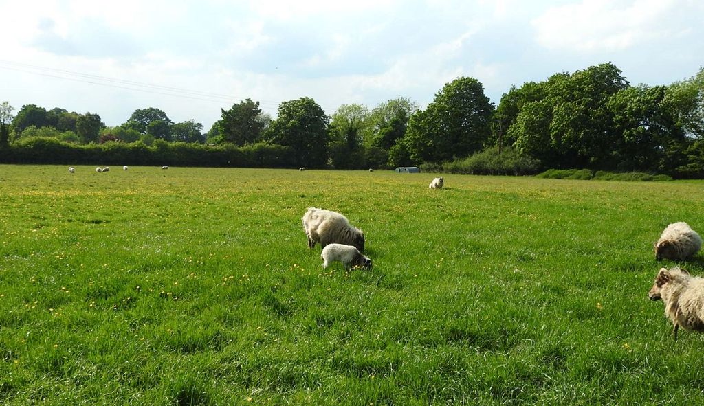 Additional image 16 of Land for saleUp To 10.25 Acres, Elvaston DE72