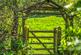 Additional image 39 of Wykehurst Lane, Ewhurst, GU6