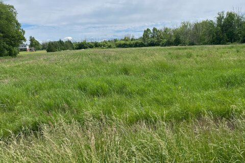 Additional image 7 of N/A Highway 48 N/a, Georgina, ON, L0E 1N0
