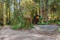 Additional image 33 of 9 Huckleberry Hts, Cazadero, CA, 95421