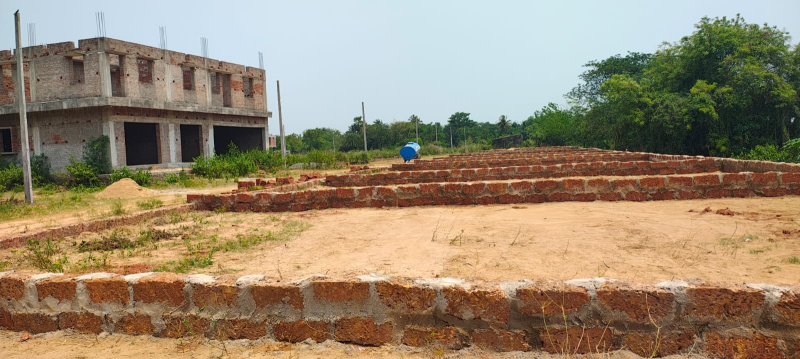 Additional image 2 of Phulnakhara, Bhubaneswar
