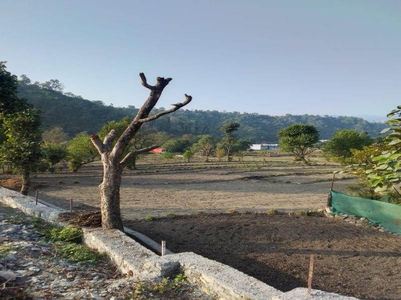 Additional image 2 of Sahastradhara Road, Dehradun