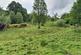 Additional image 9 of Blaich, Fort William PH33