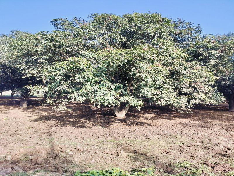 Additional image 3 of Biharigarh, Dehradun
