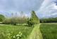 Additional image 18 of North Petherwin, Launceston, Cornwall, PL15