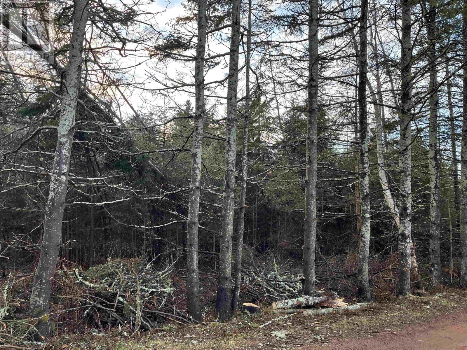 LOT 9 BIRDS EYE Drive