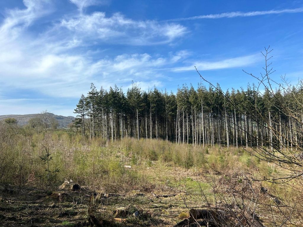 Land for sale6.00 Acres - Bagtor Wood, Bickington, Devon TQ12