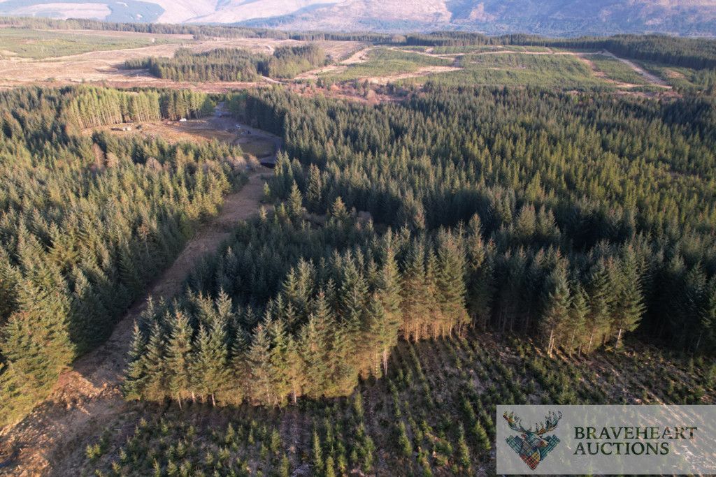 Additional image 4 of Land for saleNorth Face 1, Spean Bridge, Highland PH34