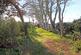 Additional image 13 of Links Road, Mundesley, Norwich, Norfolk, NR11