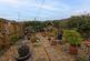 Additional image 15 of Bryncelyn Place, Pontnewydd, NP44