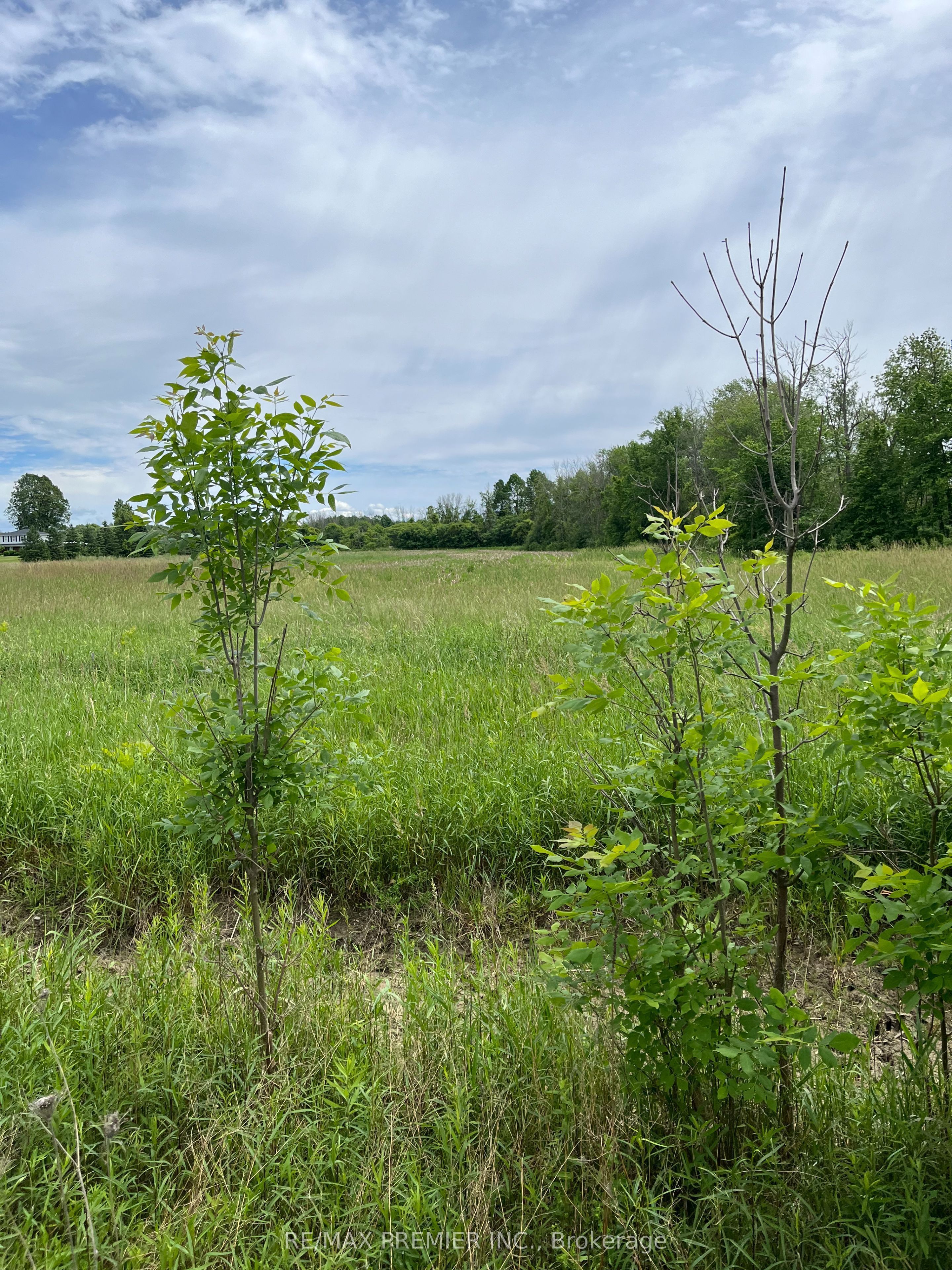 Additional image 3 of N/A Highway 48 N/a, Georgina, ON, L0E 1N0