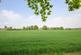 Additional image 4 of High Road, Newton, Wisbech, Cambs, PE13 5ET