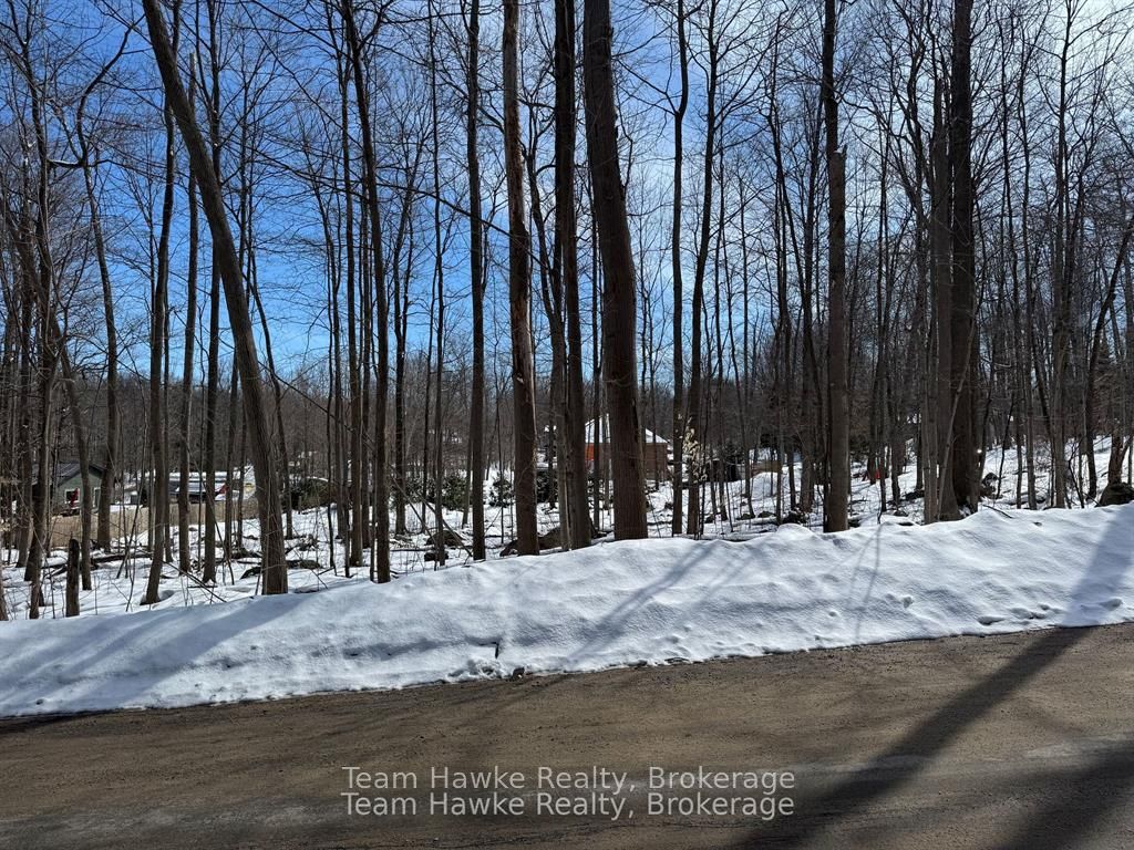 Additional image 2 of 85 Polish Avenue, Penetanguishene, ON, L9M 1W8