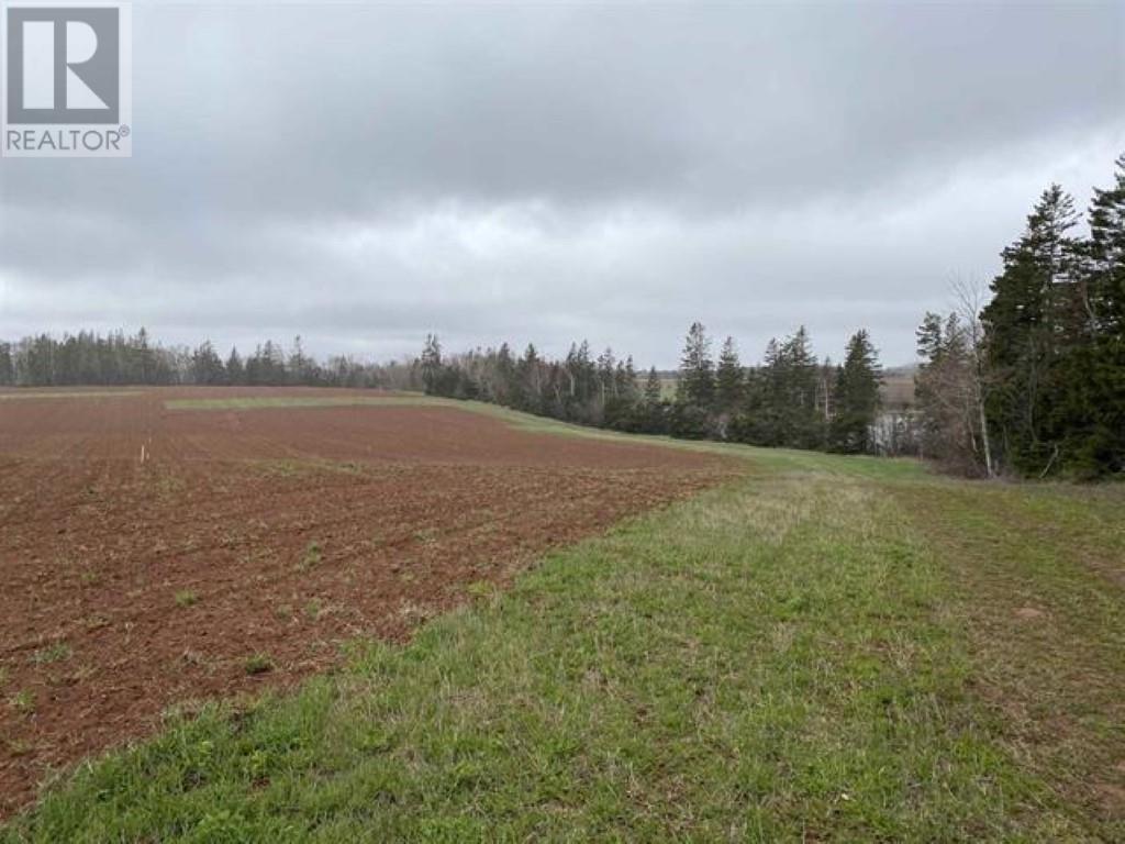 Lot 21-2 Kildare Lane
