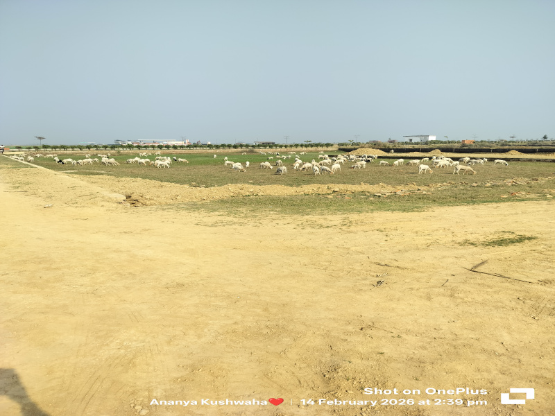 Additional image 3 of Kaudia Jungle, Gorakhpur