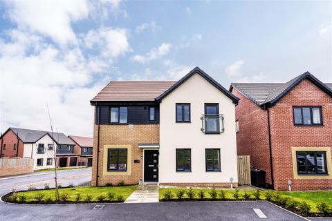 Hunter Grove, Wallsend NE28