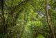 Additional image 15 of Sky Peals Road, Highams Park, Woodford Green, IG8