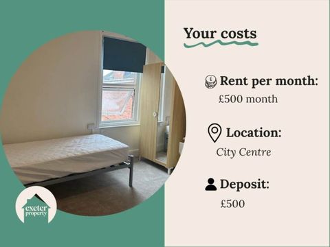 Mount Pleasant Road, Exeter EX4, Room to rent
