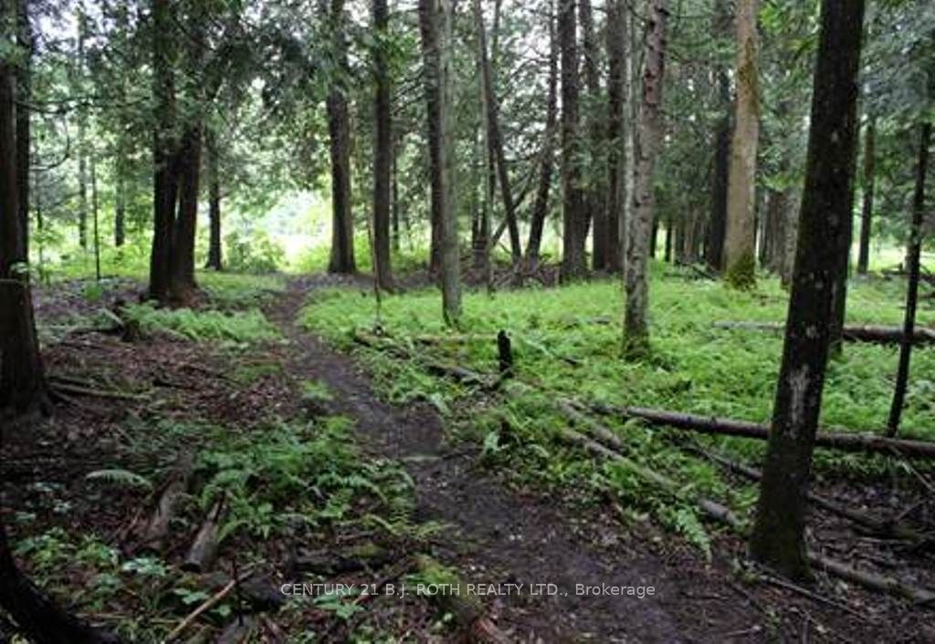 Additional image 6 of 7 Fern Lane, Essa, ON, L0M 1T0
