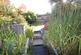 Additional image 20 of Taggs Island, Hampton TW12