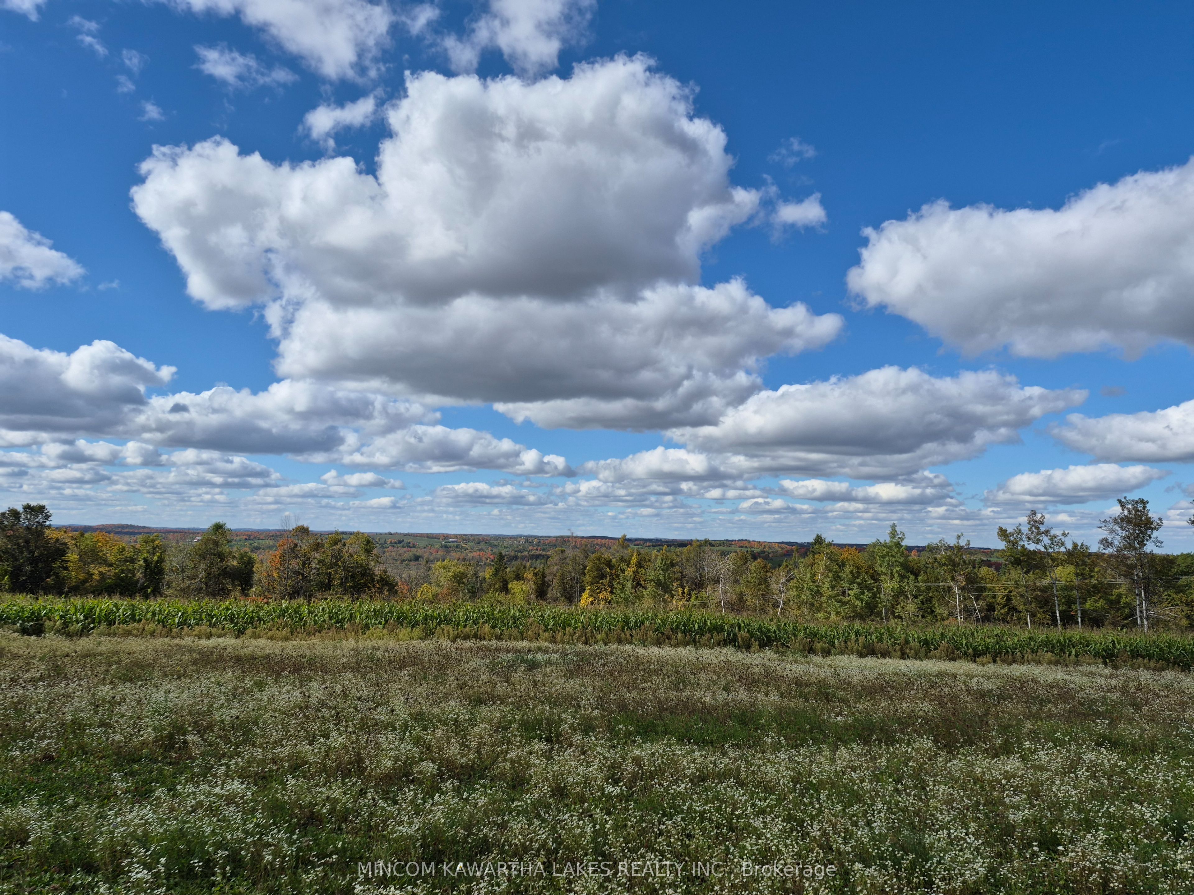 Additional image 6 of PL 15 Base Line, Otonabee-south Monaghan, ON, K0L 2G0