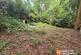 Additional image 5 of Newstead Abbey Park - Land