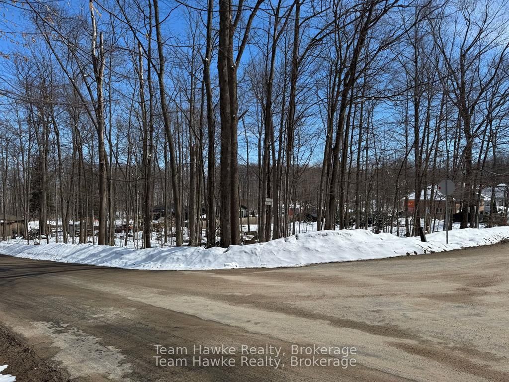 85 Polish Avenue, Penetanguishene, ON, L9M 1W8