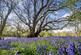 Additional image 2 of Rackheath, Norwich