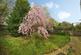 Additional image 2 of Park Lane, Leverington, Wisbech, Cambridgeshire, PE13 5EJ