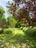 Additional image 17 of North Petherwin, Launceston, Cornwall, PL15