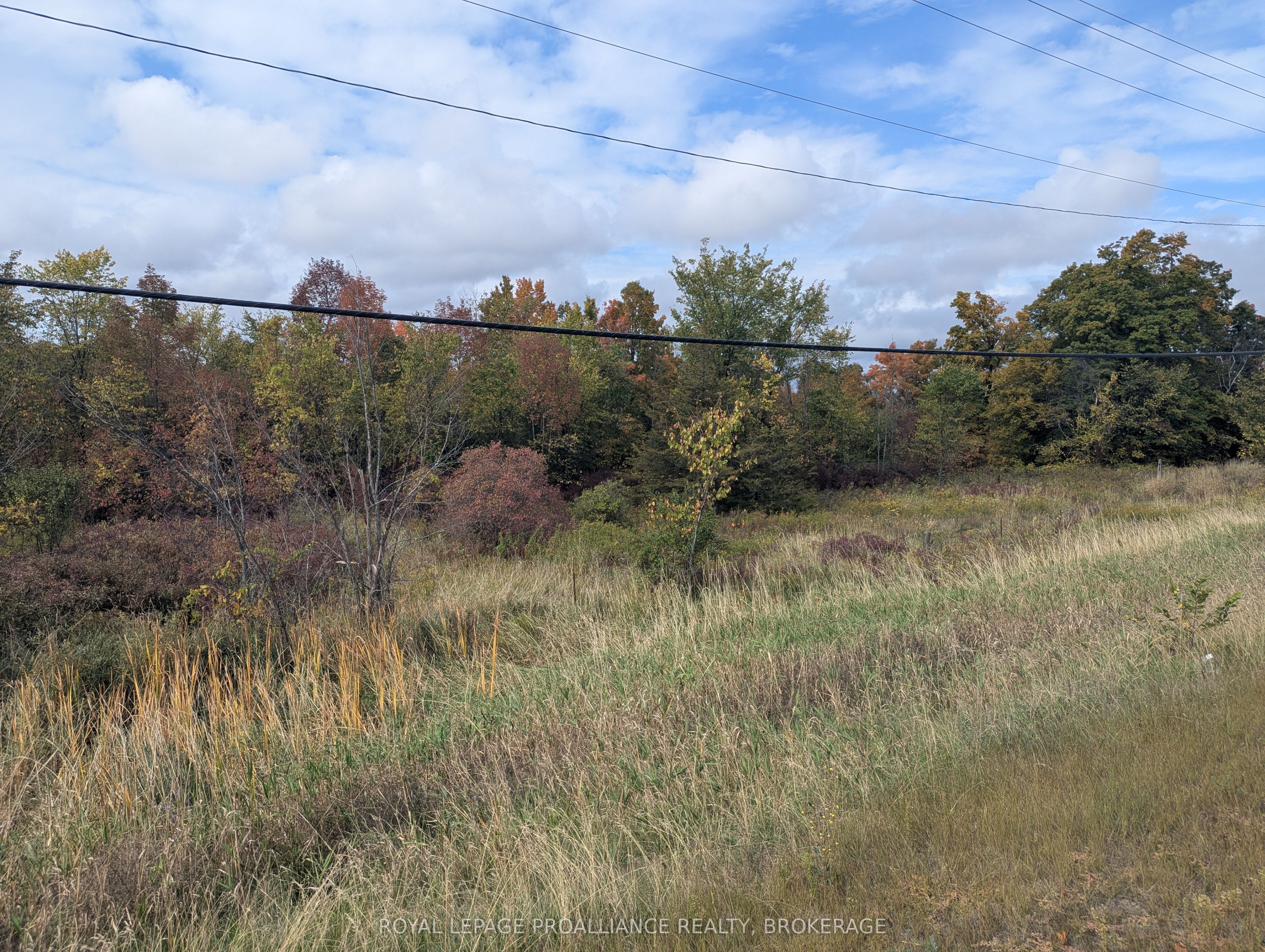 Additional image 6 of Lot 34 Leo Lake Road, Kingston, ON, K0H 2N0