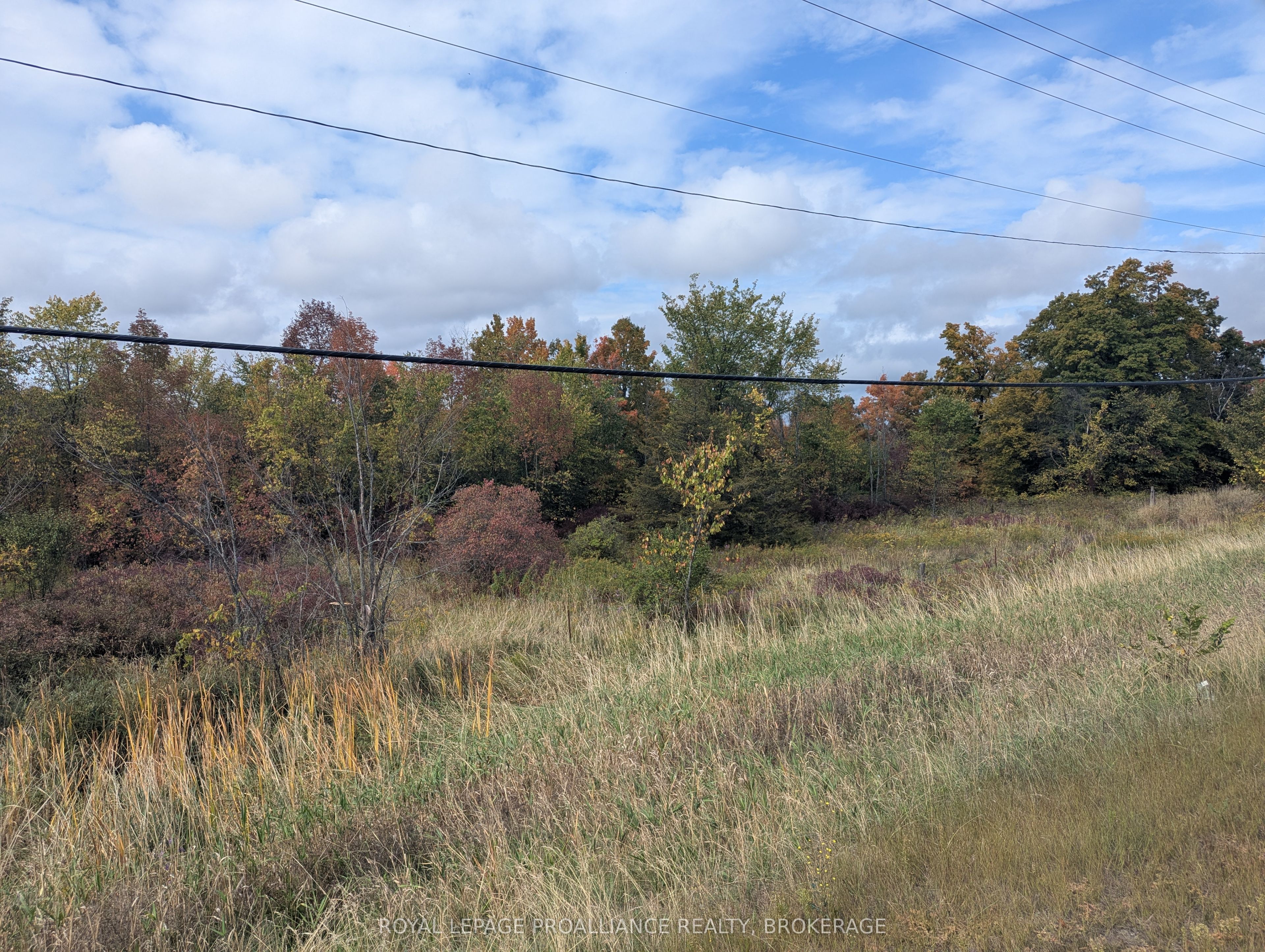 Additional image 5 of Lot 34 Leo Lake Road, Kingston, ON, K0H 2N0