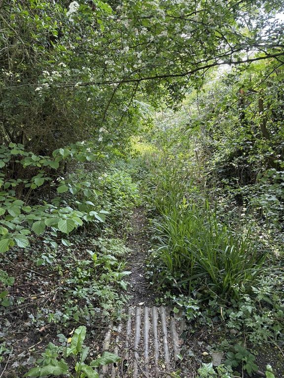 Additional image 5 of Land for salePewitt Garden Allotments, West End Drive, Ilkeston DE7