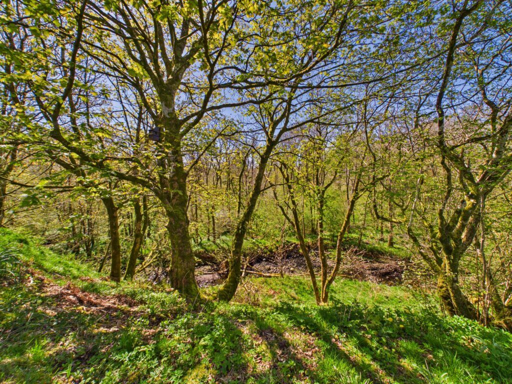 Additional image 56 of 6 bed detached house for saleCeoletive, North Connel, By Oban, Argyll PA37