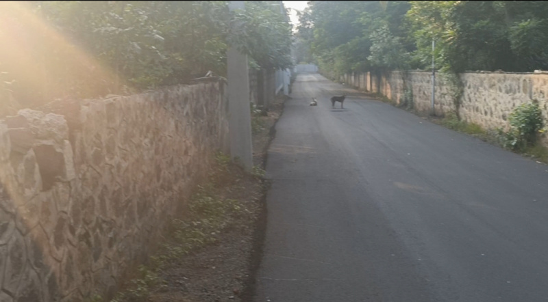 Additional image 2 of Akkarai, Chennai