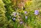 Additional image 20 of ,