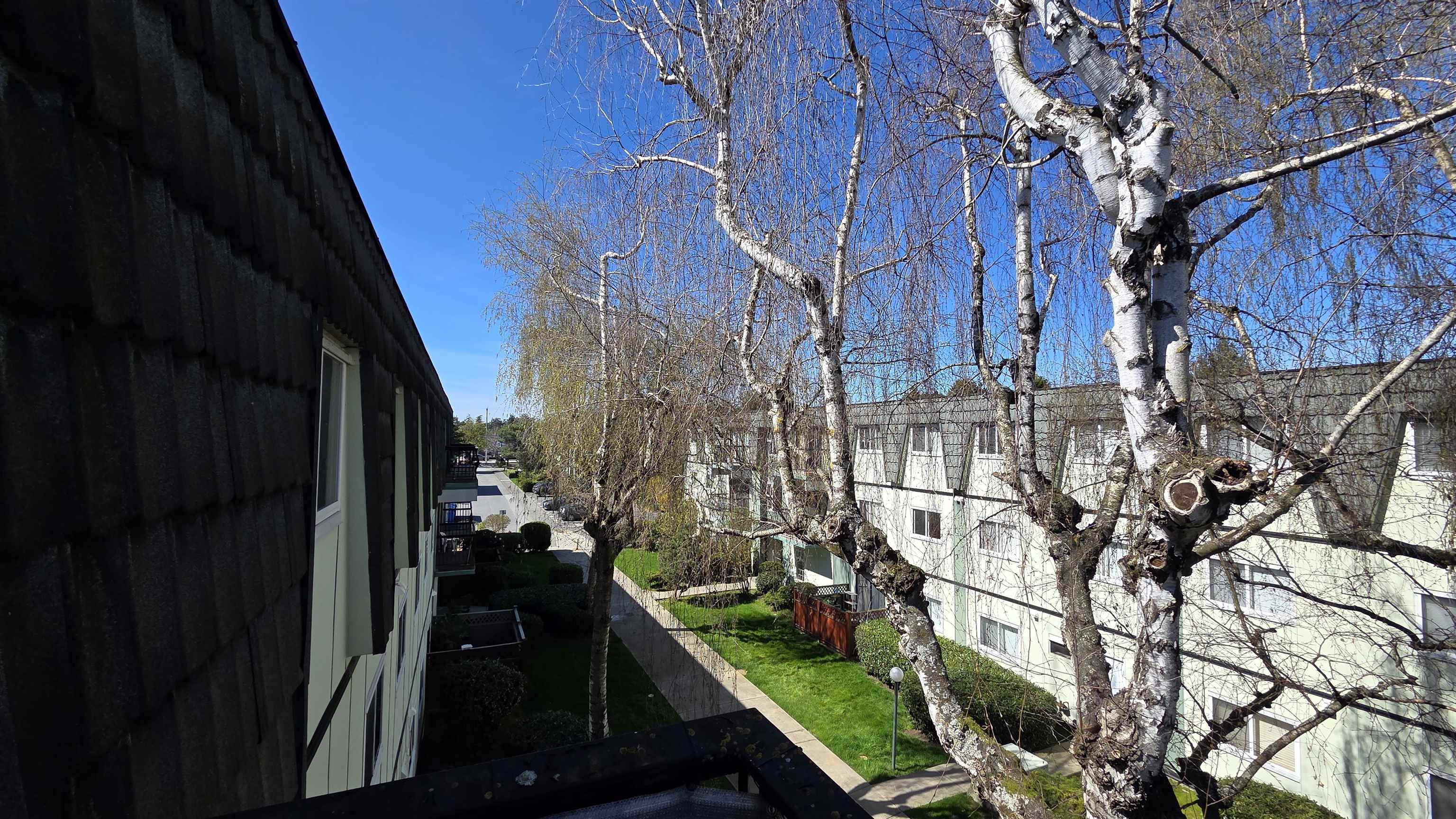 356-8131 Ryan Road, Richmond, BC, V7A 2E4