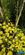 Additional image 23 of Hendon Wood Lane, Mill Hill, London, NW7