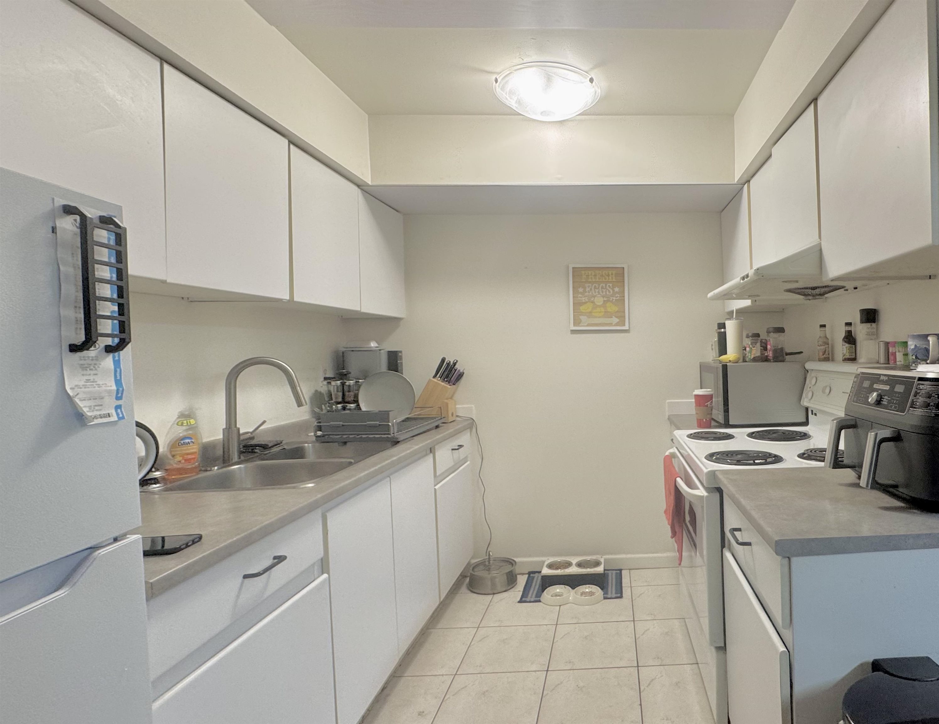 Additional image 6 of 10589 Holly Park Lane, Surrey, BC, V3R 6X8