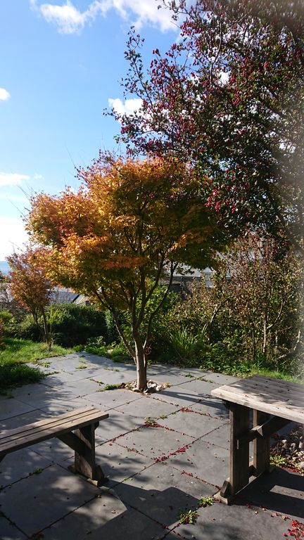 Additional image 25 of 4 bed town house for saleBrynymor Road, Aberystwyth SY23