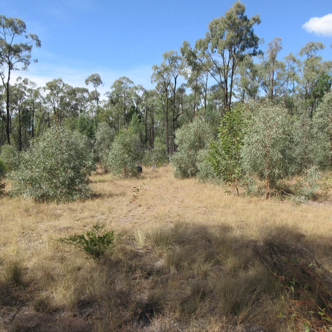 Additional image 4 of Tara QLD 4421
