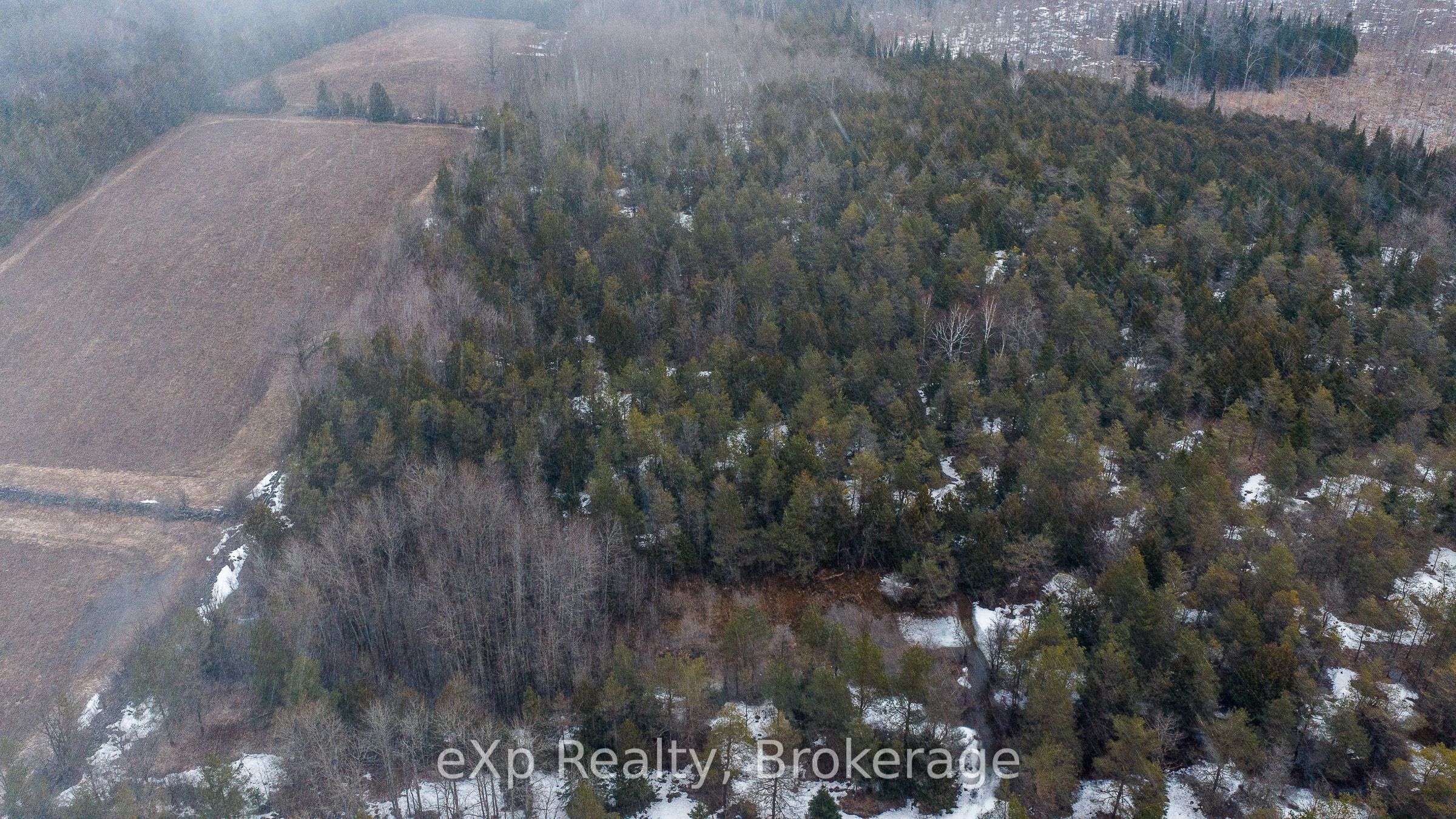 Additional image 6 of 736073 West Back Line, Chatsworth, ON, N0C 1H0