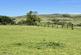 Additional image 36 of Nabny, Dundrennan, Kirkcudbright