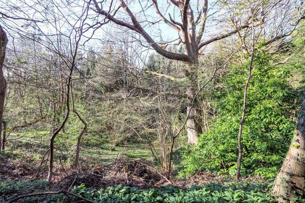 Additional image 22 of 3 bed detached bungalow for sale69 Hastings Road, Battle TN33