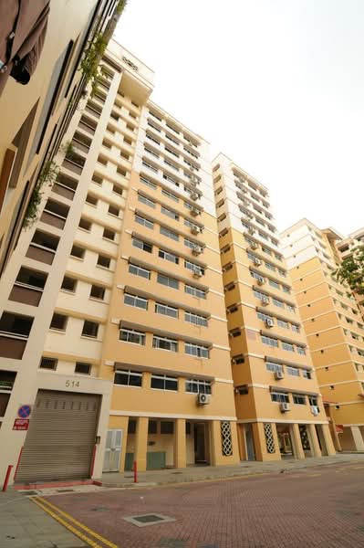 Additional image 9 of 514 Choa Chu Kang Street 51