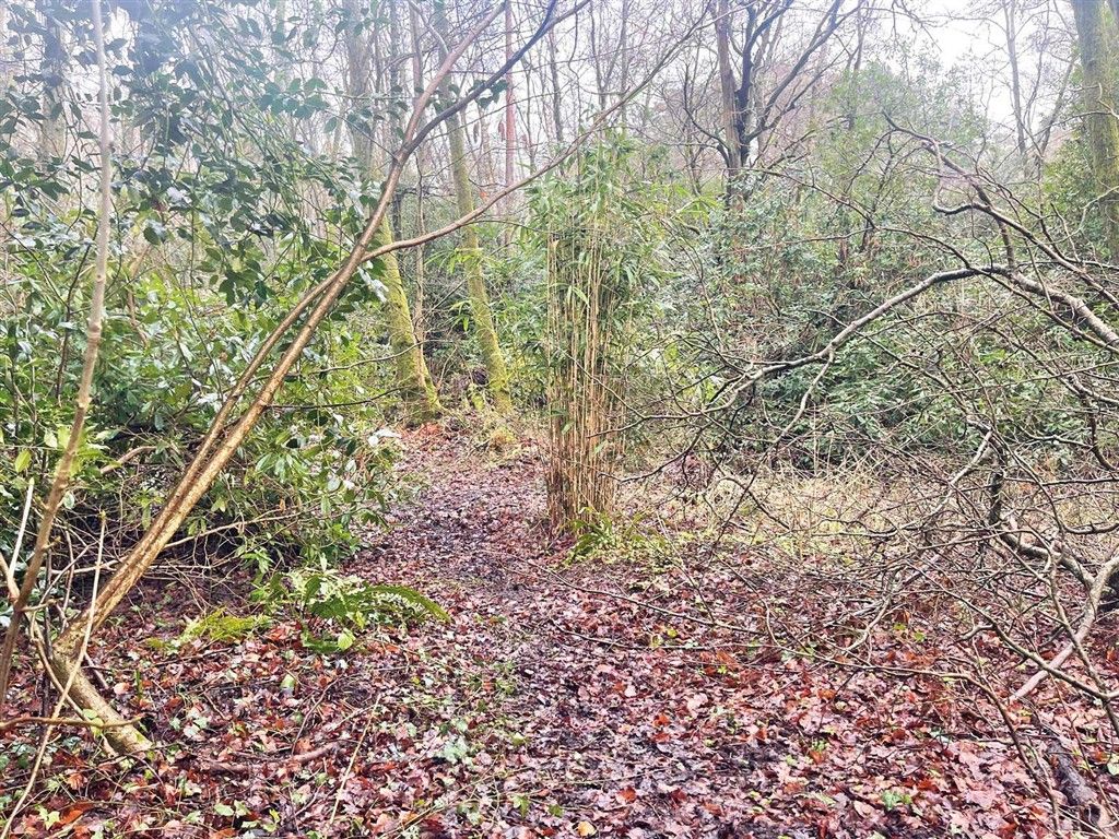 Additional image 2 of Land for saleLand North Of Culmer Lane, Wormley, Godalming GU8